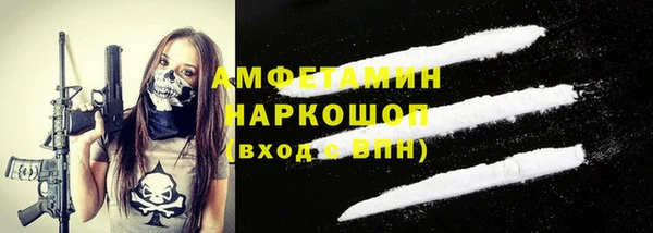 молекула духа Козельск