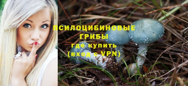 молекула духа Козельск