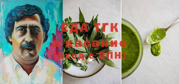 молекула духа Козельск