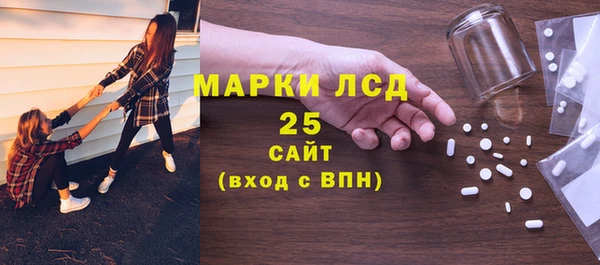 молекула духа Козельск