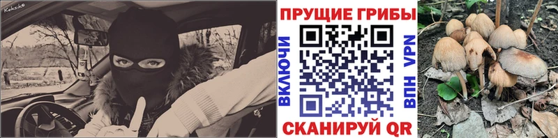 Галлюциногенные грибы Magic Shrooms  Купить  Котлас 